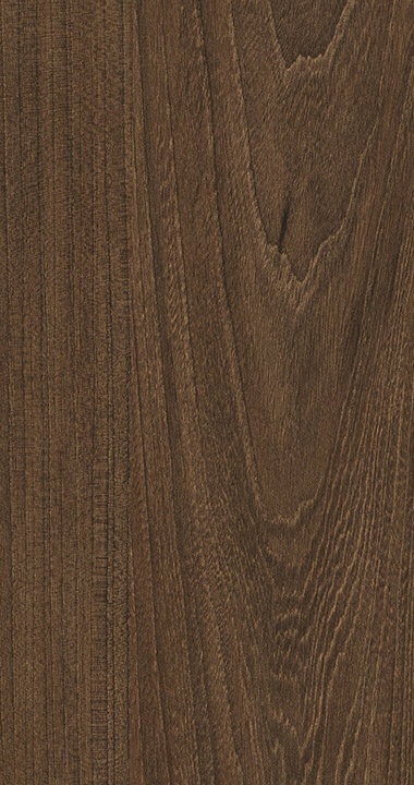 Tasman Elm Gloss